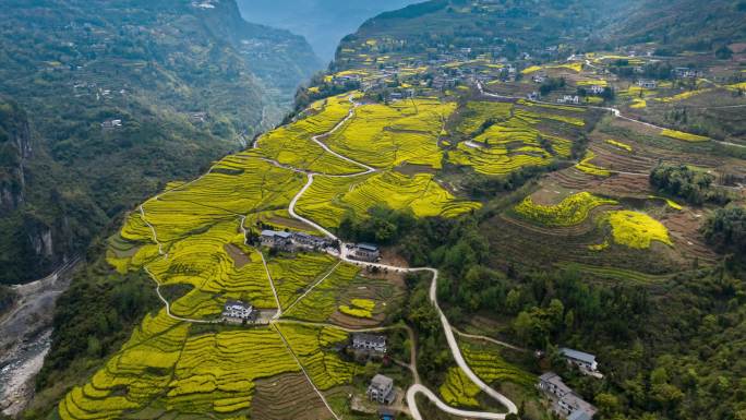 恩施大峡谷田凤坪油菜花海航拍延时4K