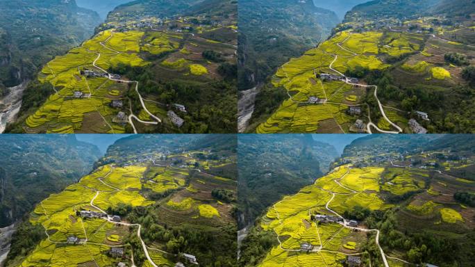 恩施大峡谷田凤坪油菜花海航拍延时4K