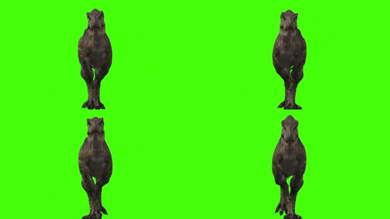 恐龙在绿色屏幕上行走