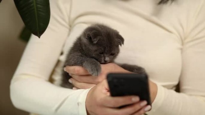 女人带着苏格兰小猫在沙发上使用手机，浏览智能手机