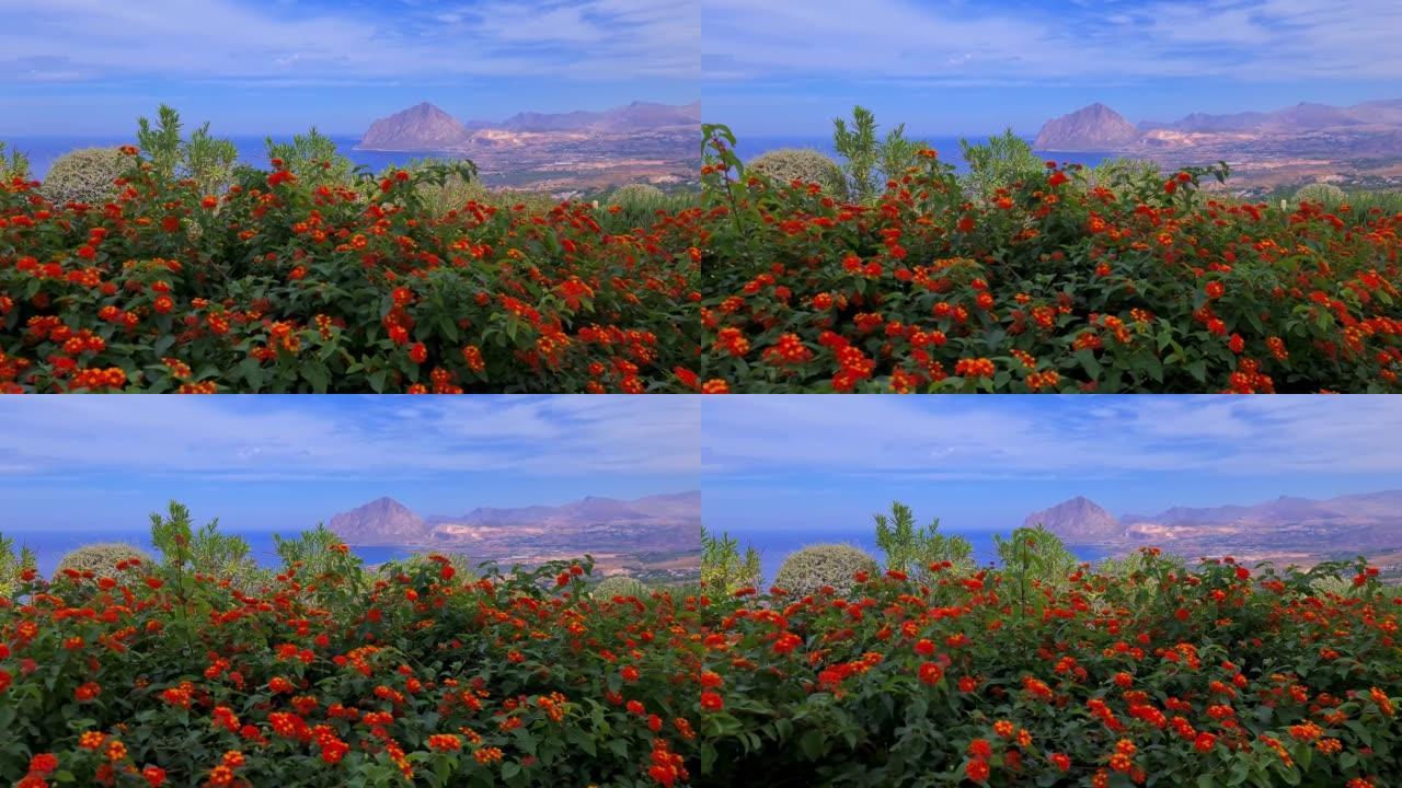 西西里岛蒙特科法诺背景下的红色马丹花全景。意大利