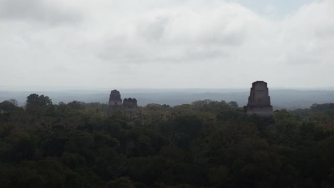 蒂卡尔玛雅金字塔的风景