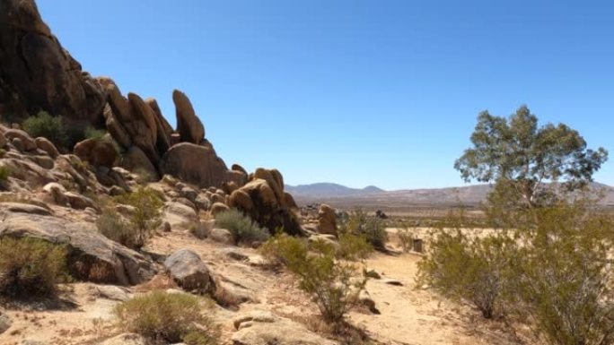 莫哈韦沙漠的岩层景观