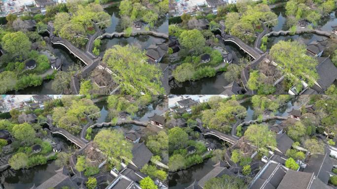 紫藤 拙政园 航拍 园林 苏州 姑苏