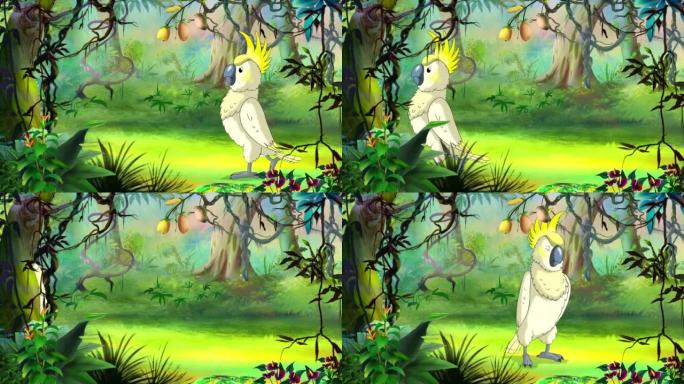 在丛林中行走的白鹦鹉凤头鹦鹉
