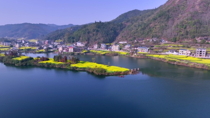 航拍水乡油菜花