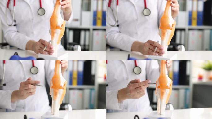 治疗师在模型上解释膝关节疼痛