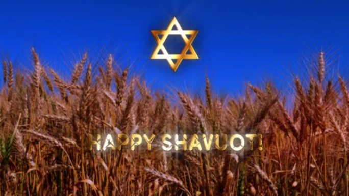 快乐的Shavuot和4K麦田。