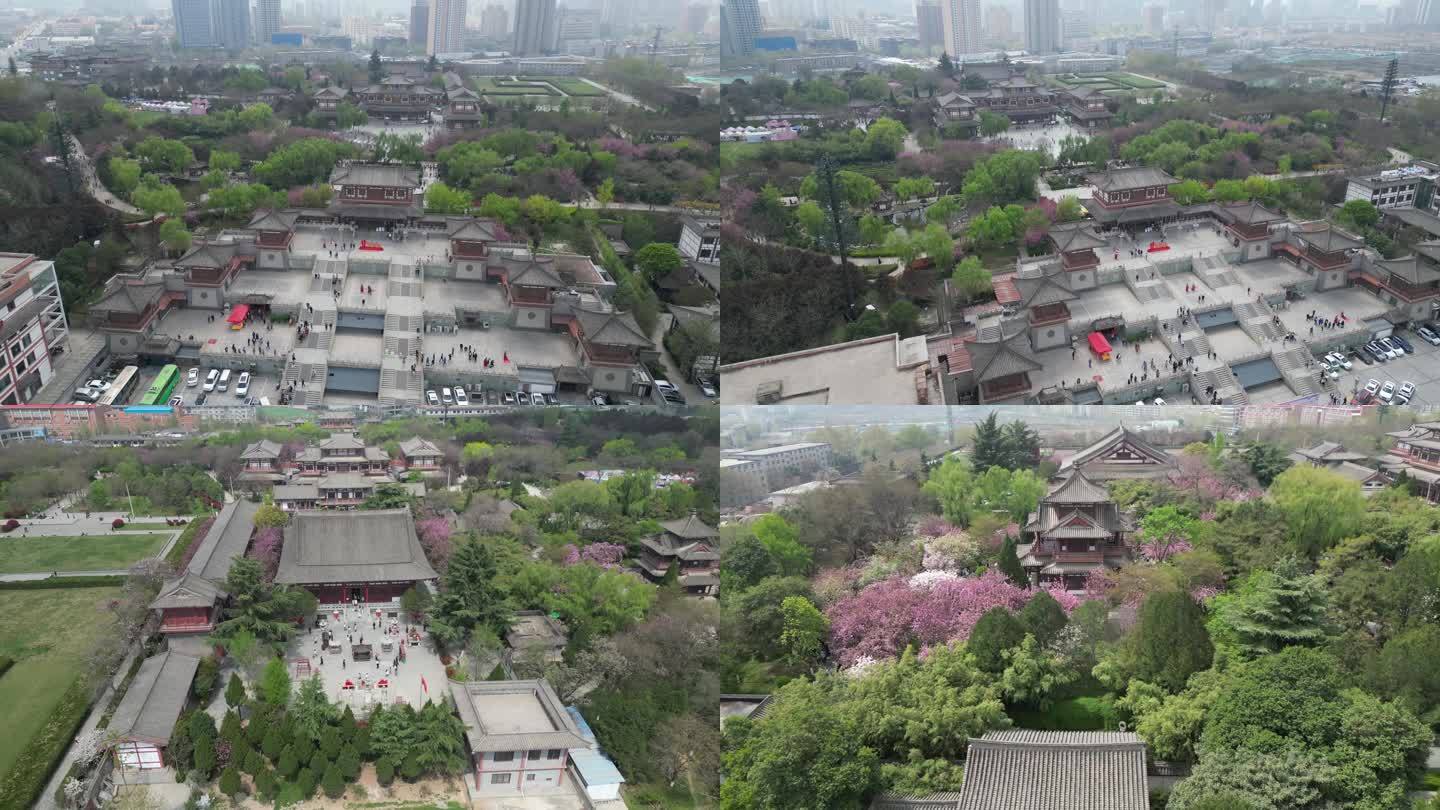 青龙寺遗址樱花花海古建筑景观风光航拍6