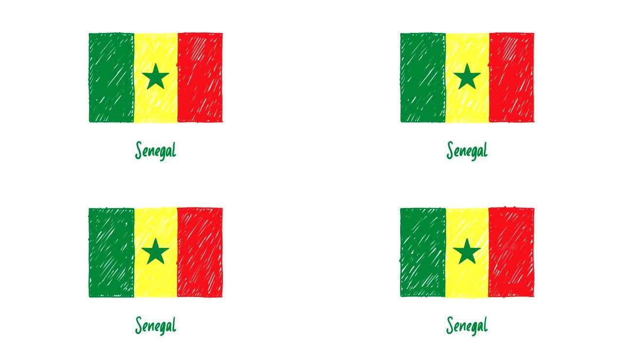 塞内加尔国旗标记白板或铅笔彩色素描循环动画