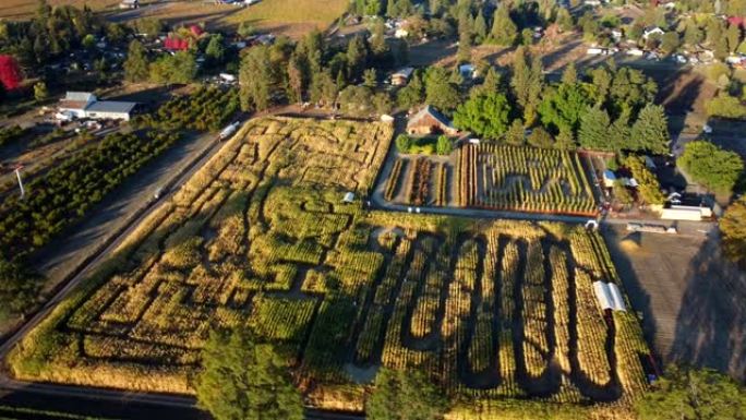 美国俄勒冈州凤凰城-野鸡场农场的玉米迷宫为秋季丰收节而设立。2022-10-31