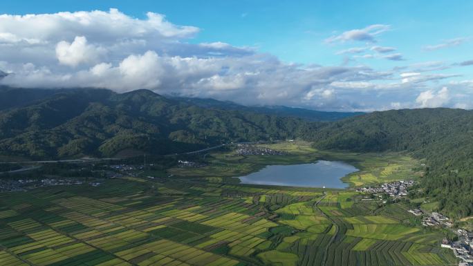 蓝天白云下的蓝色湖水和金色田野的延时视频