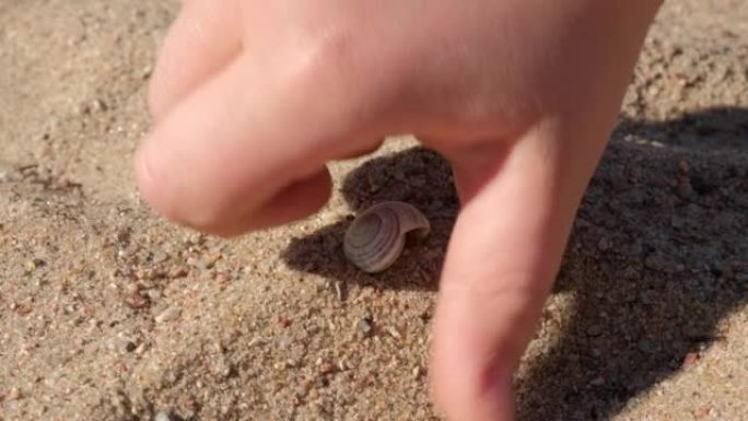 高加索女孩在沙滩上捡贝壳