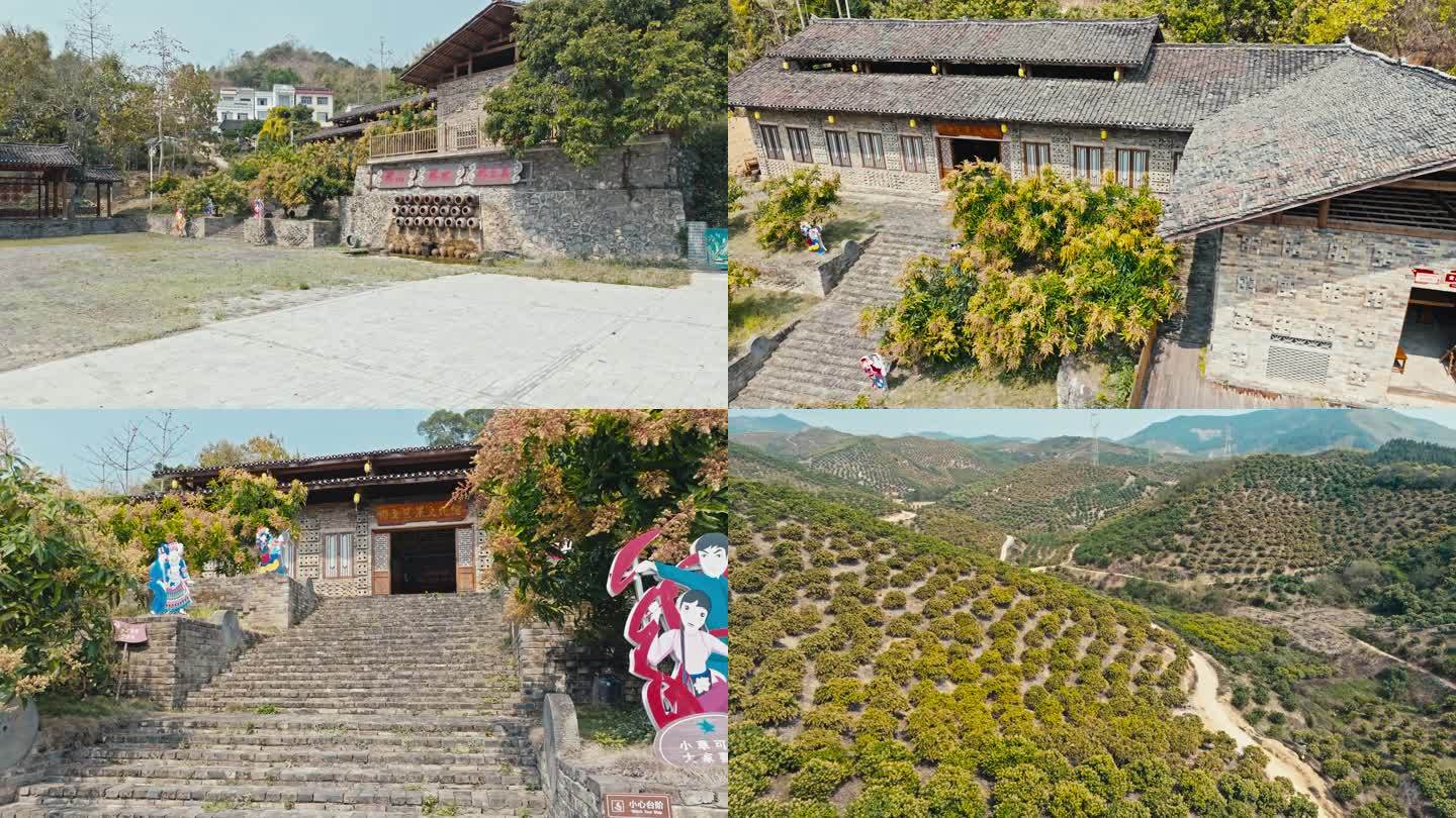 芒果之乡田东县漫山遍野芒果花开