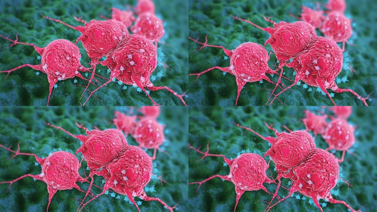 癌症细胞三维细胞癌细胞细胞分子