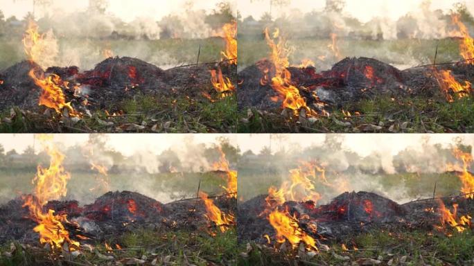 燃烧农业废弃物的树枝和树叶，烟雾上升到大气中，燃烧颗粒物，pm2.5粉尘，空气质量恶化。
