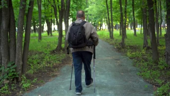 一位老人在森林中从事北欧行走。一个肩膀上背着背包的老人走路时，手里拿着棍子，以改善健康状况。