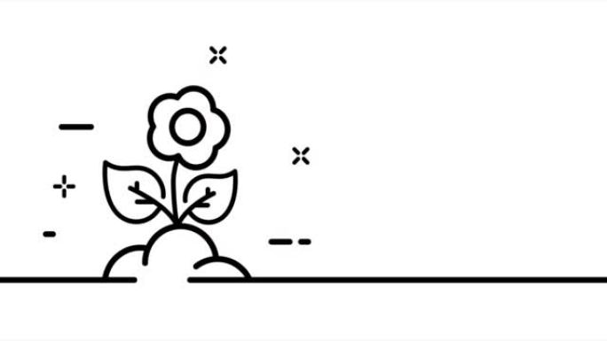 连续线条艺术绘画园艺。单画线，实线。一线植物动画，花开丰收。视频4K