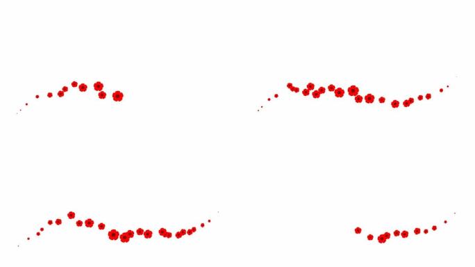 动画红色美丽的花朵从左到右飞行。循环视频。春天的概念。白色背景上的一朵飞翔的罂粟花。
