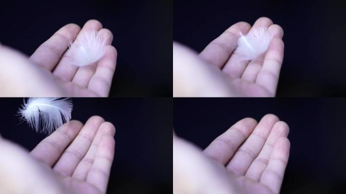 一根羽毛从一个人的手掌里飞出来