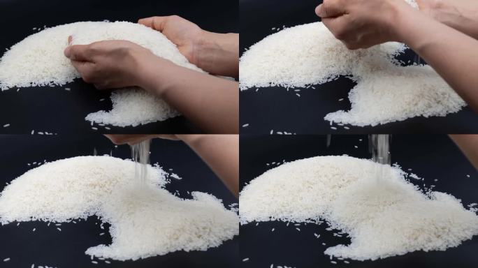 大米五常大米粮食