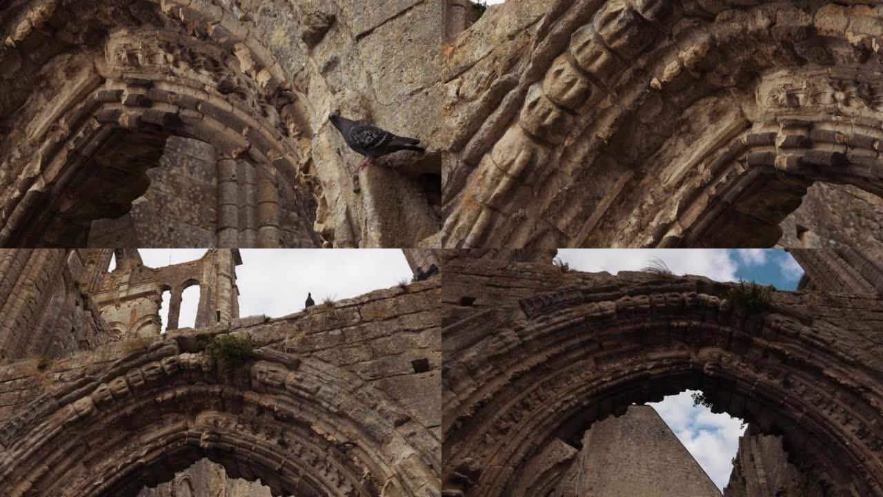 Larchant教堂废墟上的鸟类