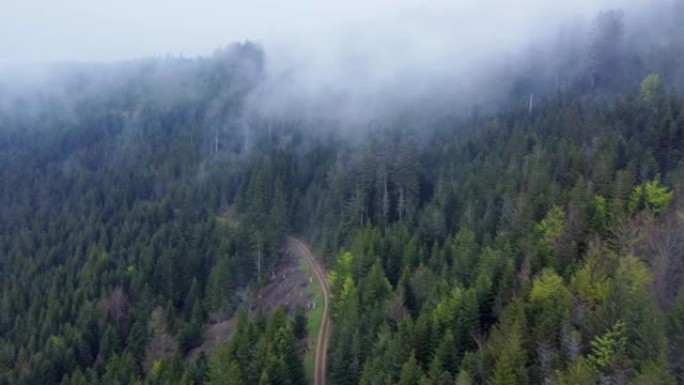 法国孚日带喜怒无常白云的森林山路鸟瞰图4K