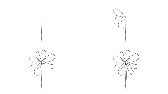 线条艺术风格的花卉动画。手绘风格的民族部落植物矢量，带有波西米亚风格的包装纸装饰