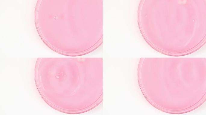 透明的粉红色化妆品液体滴在玻璃碗中的Petri。宏丸血清、乳膏、透明质酸。有机化妆品，药品。慢动作