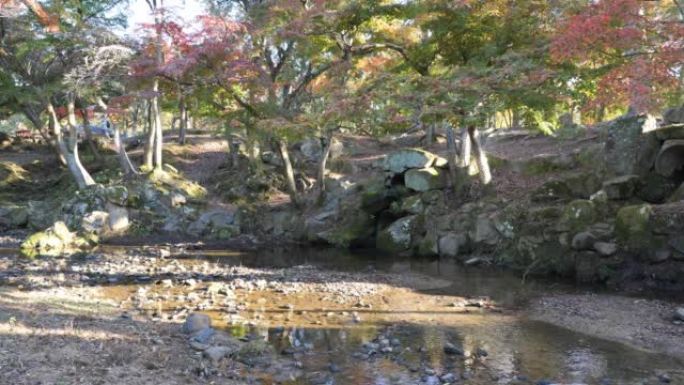 秋天奈良公园的一条小溪。