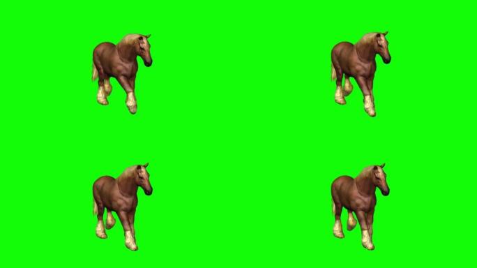 在绿色屏幕上行走的马