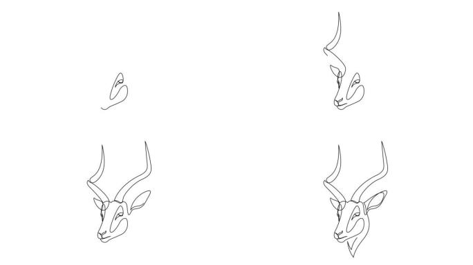 可爱的瞪羚头的一个连续线条画的动画自画。可爱羚羊动物吉祥物概念图标。全长单行动画。