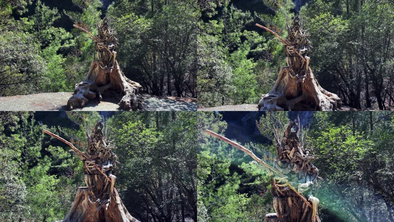 娱乐国家公园Goynuk峡谷中的大型木制雕塑。绿树间的木制手工雕像