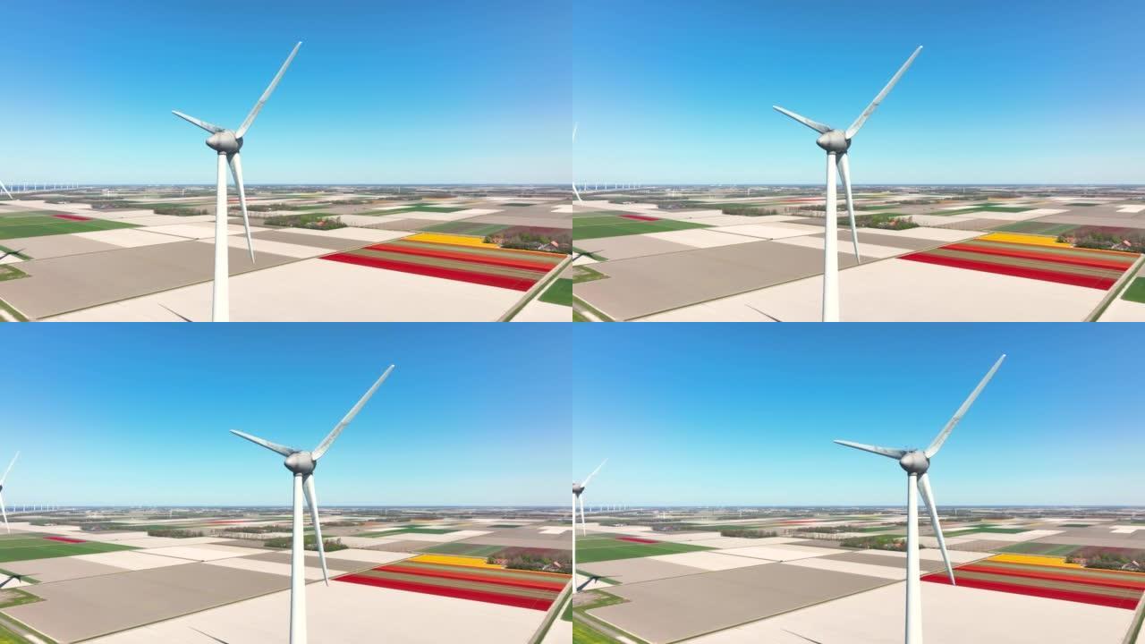背景中带有开花郁金香的农田的风力涡轮机的鸟瞰图