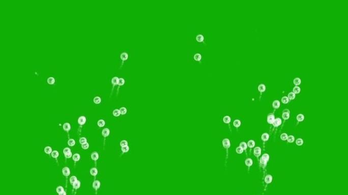 绿色屏幕背景的上升肥皂泡运动图形