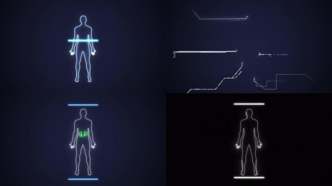 分析未来主义触摸屏界面上的人体男性解剖扫描，显示骨骼，器官和神经网络活动。概念: 在不久的将来，医学