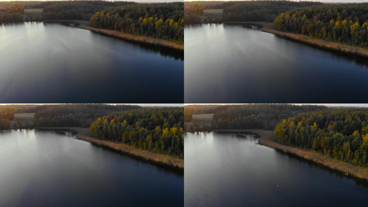 夕阳下清湖天空的倒影。池塘早晨日出。碧蓝的大湖的史诗般的俯视图。空中无人机视图秋天五颜六色的树木。鸟