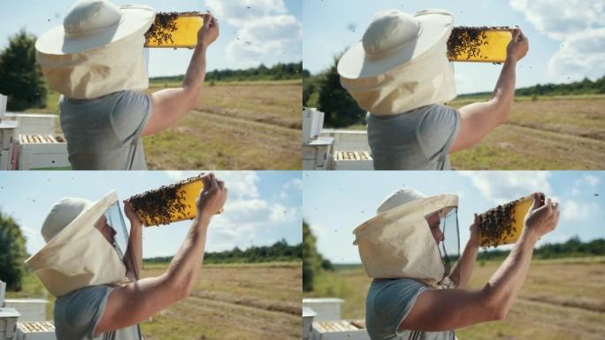 养蜂人手里拿着装满昆虫的蜂窝，在户外看着它