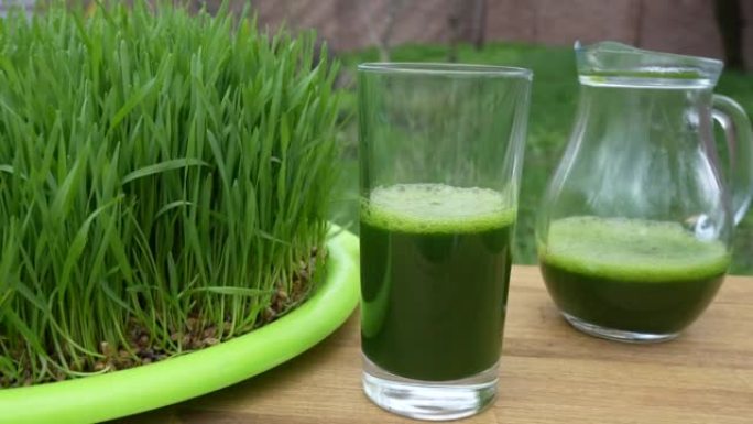 健康的绿色排毒汁来自绿色发芽的麦粒的草，旋转