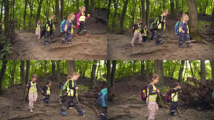这群小孩子去树林里远足。来自野生幼儿园的孩子们一起在森林山脉的小径上行走。持久的小型学前班户外徒步旅