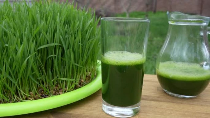 健康的绿色排毒汁来自绿色发芽的麦粒的草，旋转