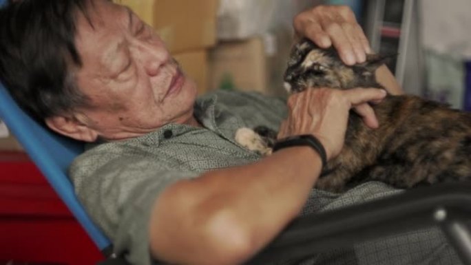 老人在房子里抚摸一只猫。