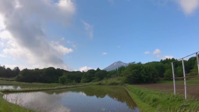 从行驶中的汽车上看到的风景