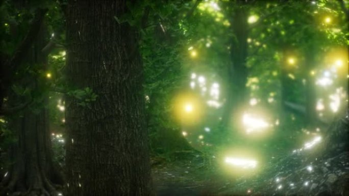 森林里飞舞的萤火虫