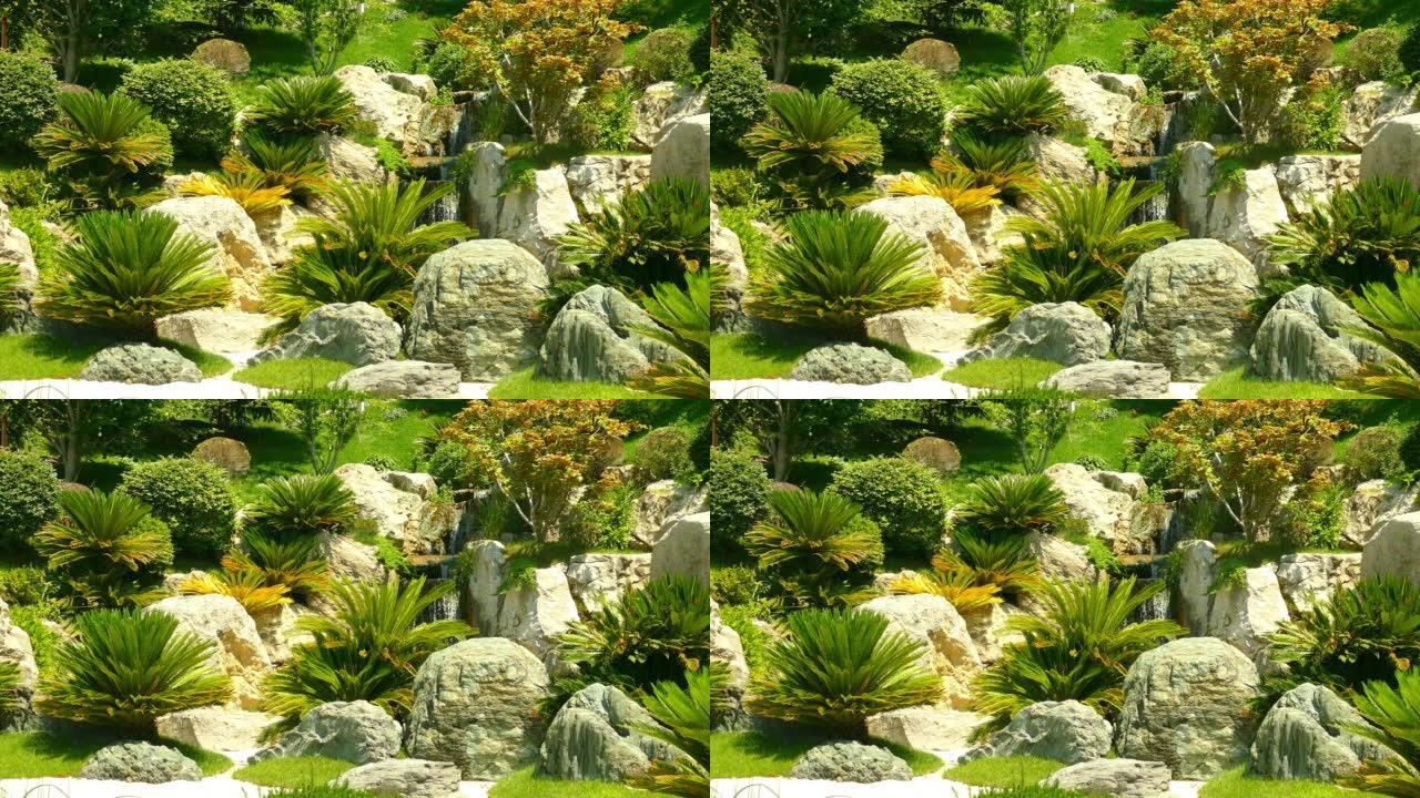 景观-岩石和棕榈树之间的瀑布