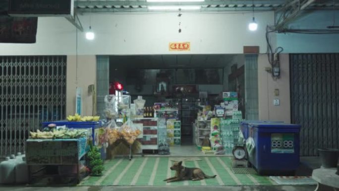 传统的当地昏暗的杂货店，狗在商业大楼睡觉