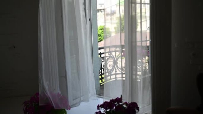 复古阳台上的美丽花朵，带薄纱和城市景观