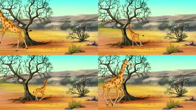 晴天动画中的热带稀树草原中的非洲长颈鹿