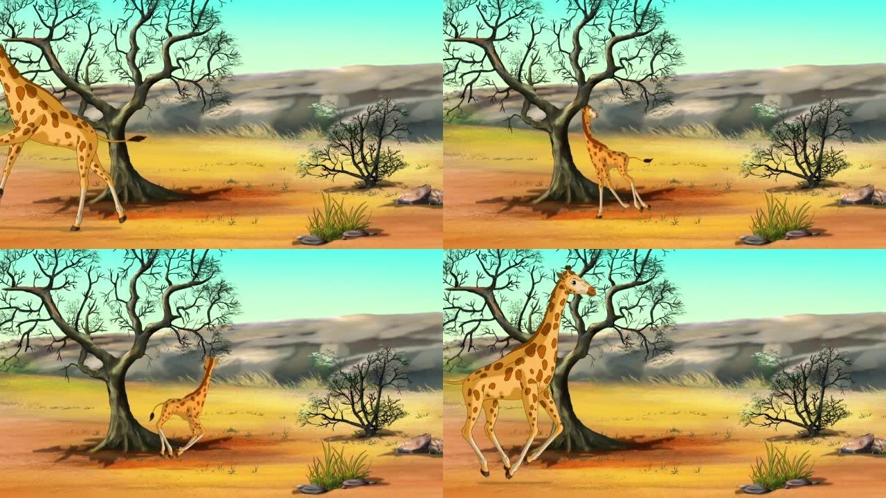 晴天动画中的热带稀树草原中的非洲长颈鹿