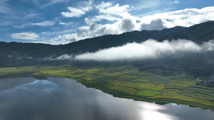 山腰间云雾缭绕映衬着金色稻田和蓝色湖泊
